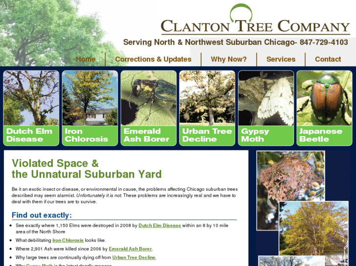 www.clantontree.com