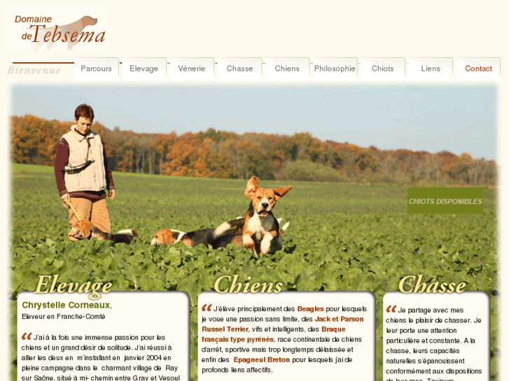 www.elevage-chiens-chasse.com