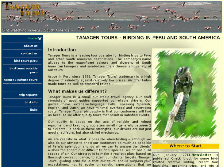 www.birding-peru-sa.com