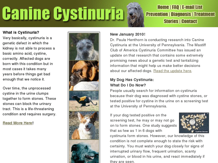 www.caninecystinuria.com