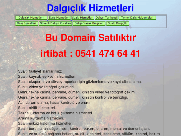 www.dalgiclikhizmetleri.net