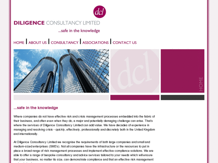 www.diligence-consultancy.com