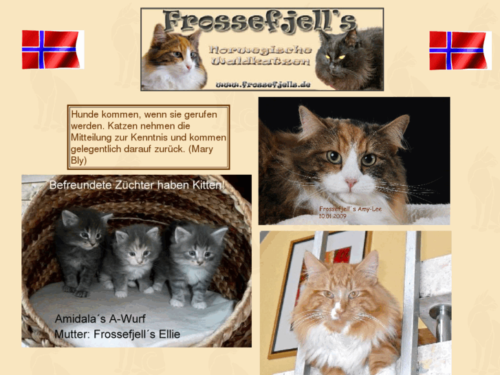 www.frossefjells.de