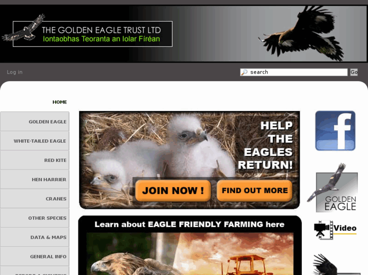 www.goldeneagle.ie