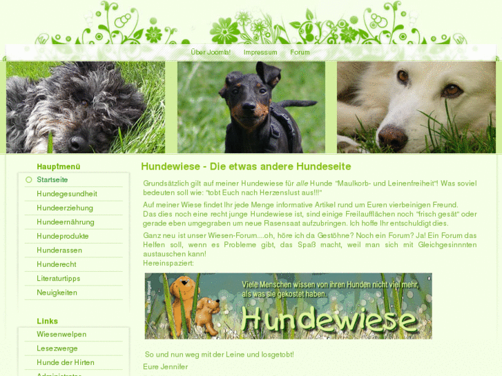 www.hundewiese.net