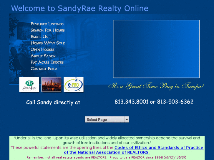 www.sandyraerealty.com