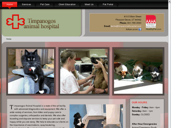 www.timpanimalhospital.com