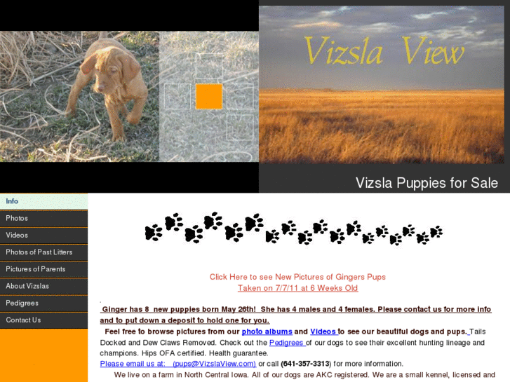 www.vizslaview.com