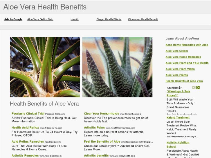 www.aloeverahealthbenefits.info