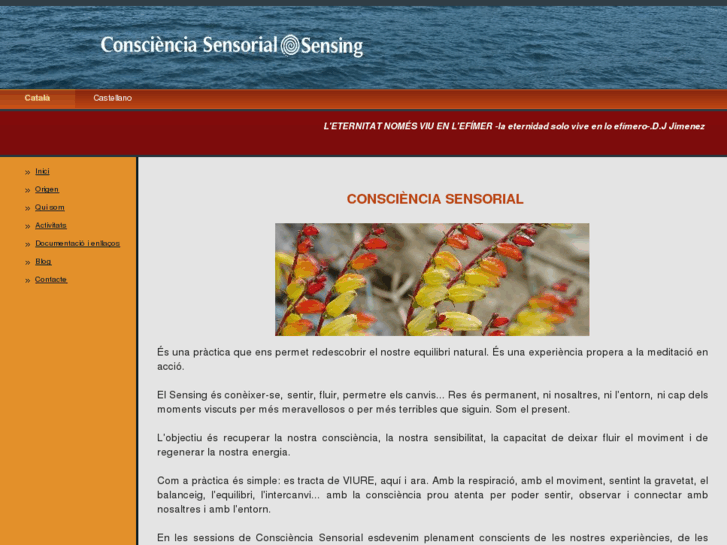 www.conscienciasensorial.com