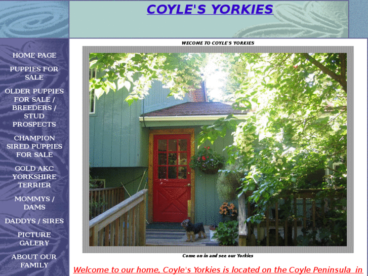 www.coylesyorkie.com