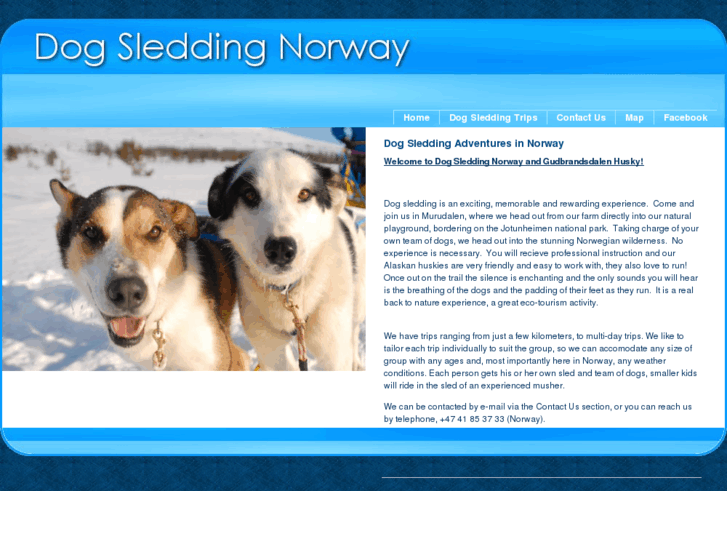 www.dogsledding-norway.com