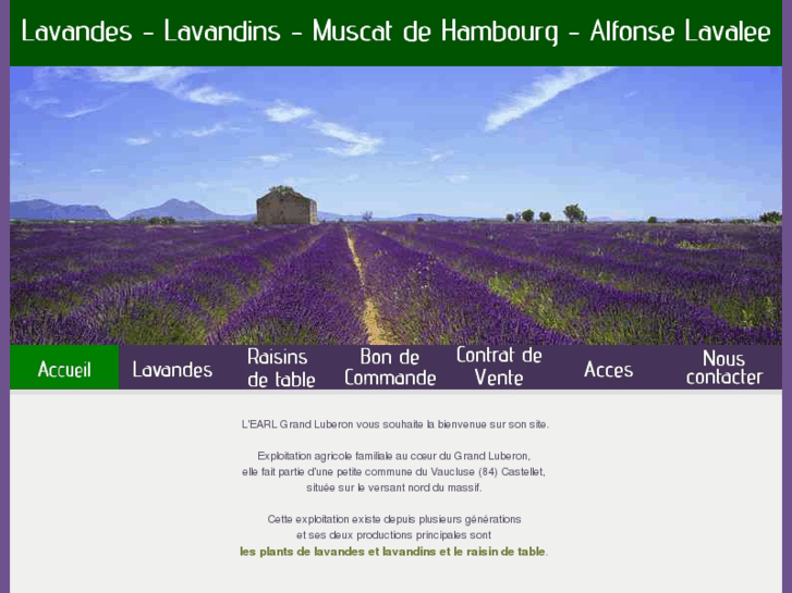 www.lavandes-du-grand-luberon.com