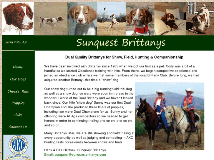 www.sunquestbrittanys.com