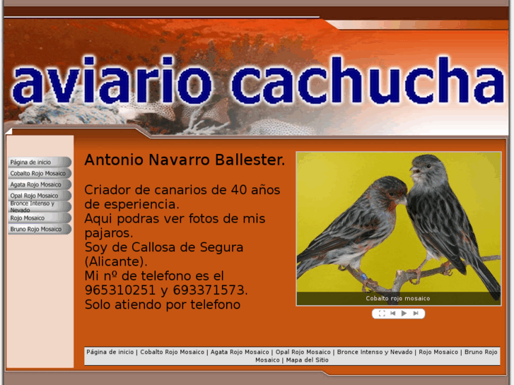 www.aviariocachucha.es