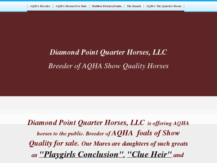 www.diamondpointquarterhorses.com