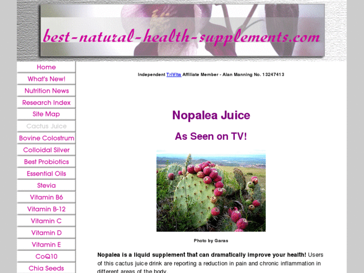 www.nopalea-cactus-juice.com