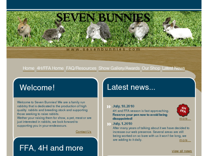 www.sevenbunnies.com