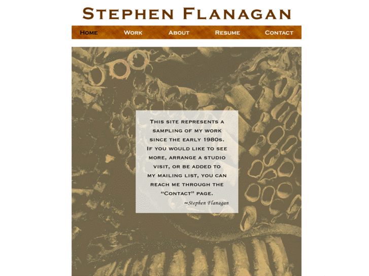 www.sflanagan.com