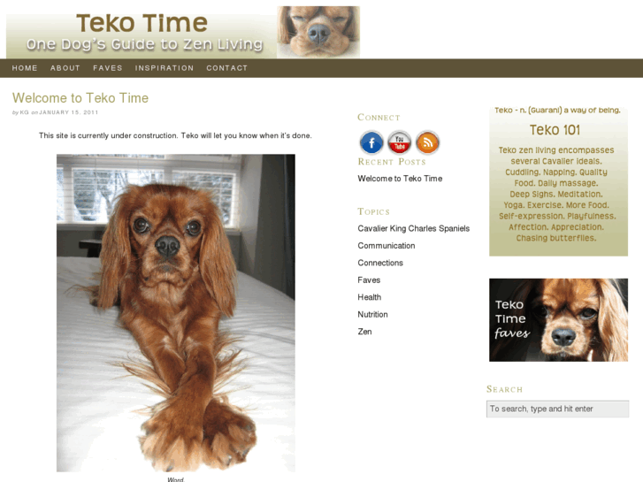 www.tekotime.com