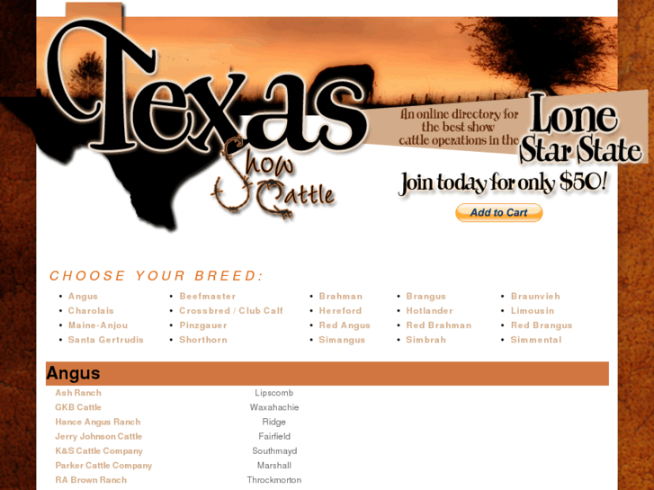 www.texasshowcattle.com