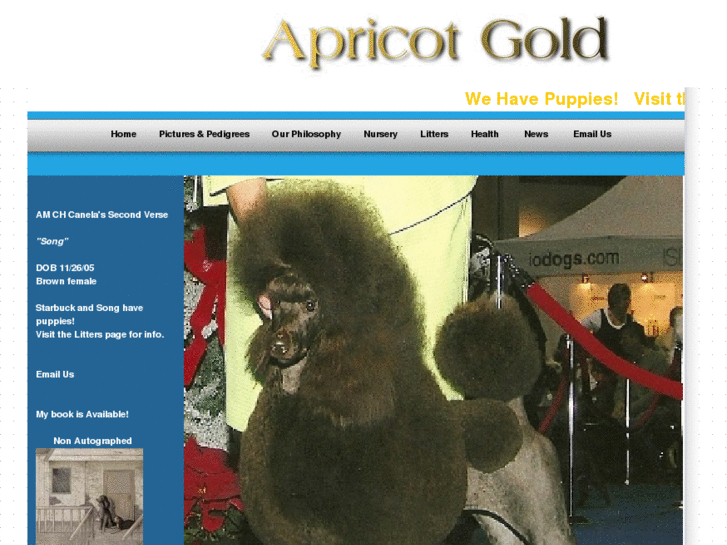 www.apricotgold.com