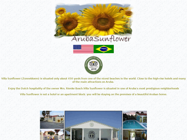 www.arubasunflower.com