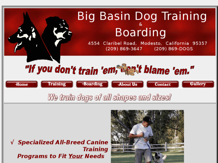 www.bigbasindogs.com