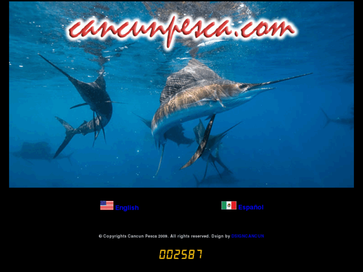 www.cancunpesca.com