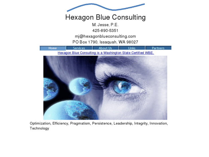 www.hexagonblueconsulting.com