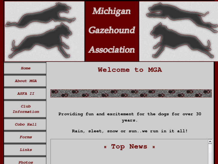 www.michigangazehound.org