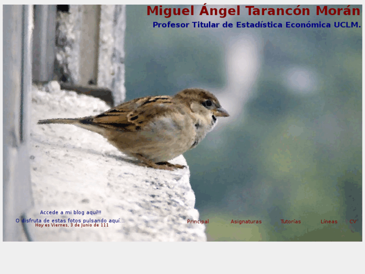 www.miguelangeltarancon.com