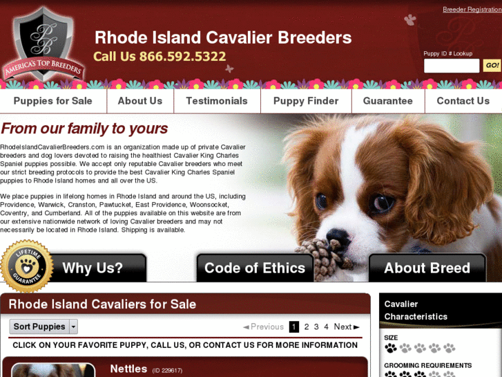 www.rhodeislandcavalierbreeders.com