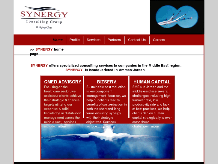 www.synergygroup-me.com