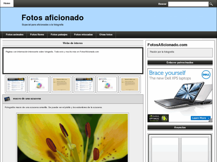 www.fotosaficionado.com