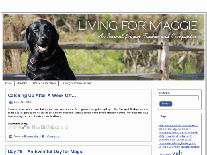 www.livingformags.com