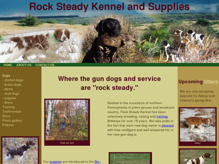 www.rocksteadykennelandsupplies.com