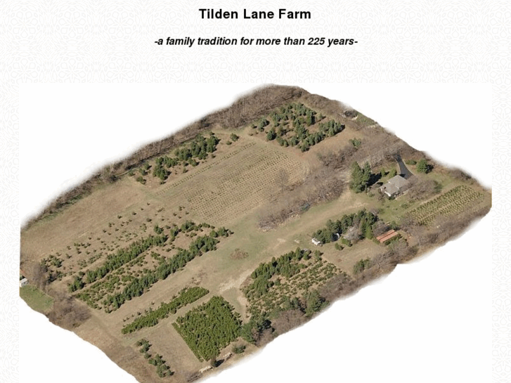 www.tildenlanefarm.com