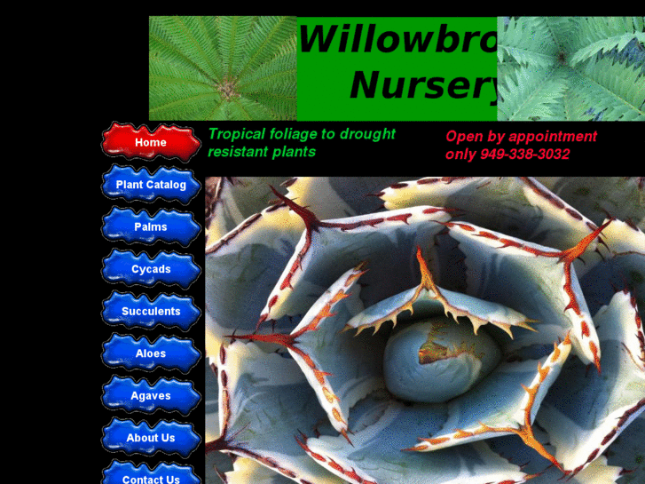 www.willowbrooknursery.com