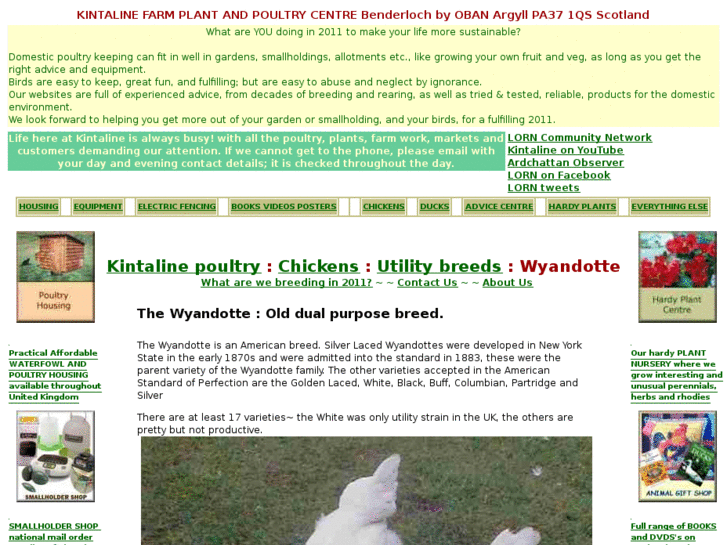 www.wyandotte.co.uk