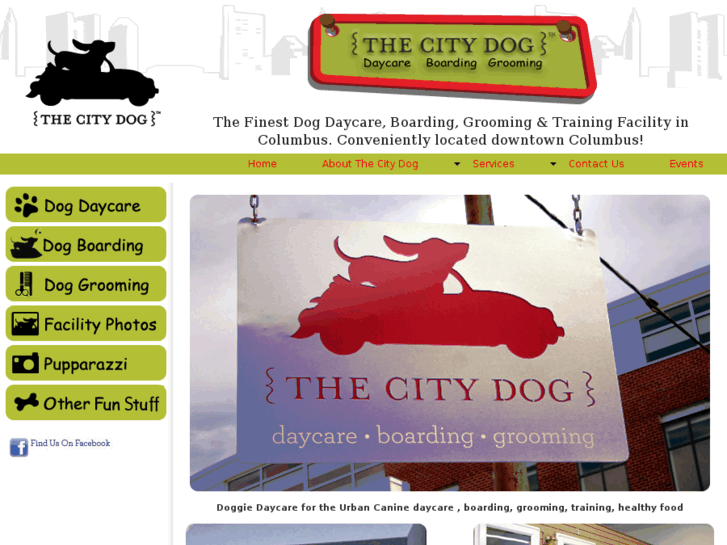 www.thecitydogdaycare.com