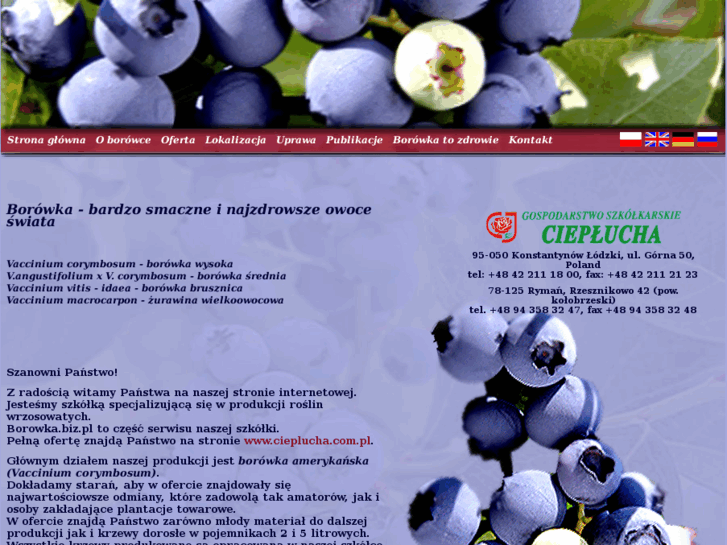 www.borowka.biz.pl