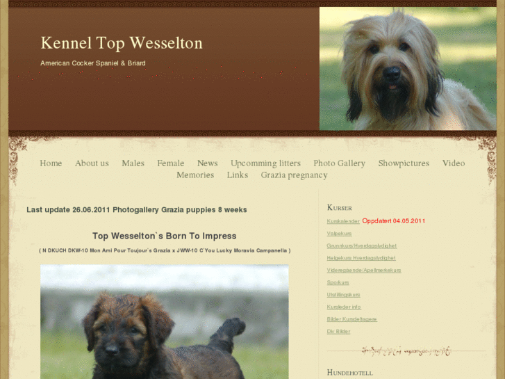 www.kenneltopwesselton.com