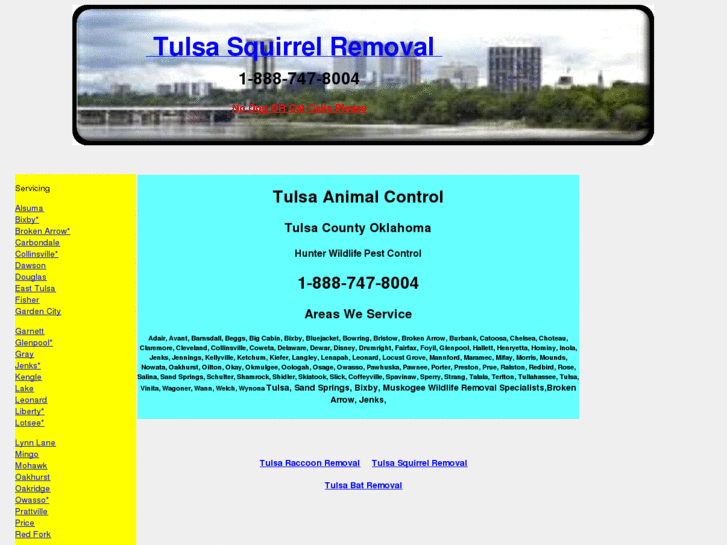 www.tulsasquirrelremoval.org