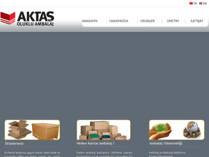 www.aktaskoli.com