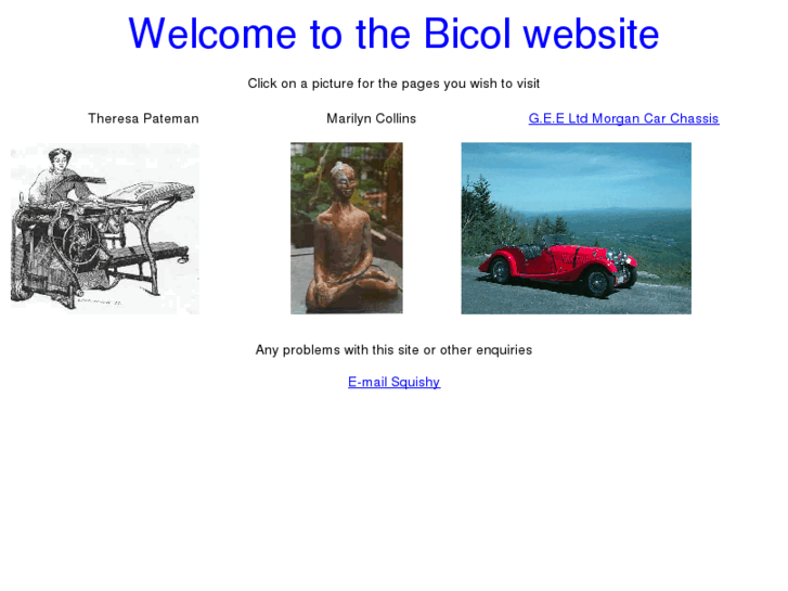 www.bicol.co.uk