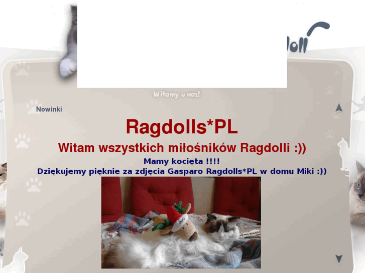 www.ragdolls.pl