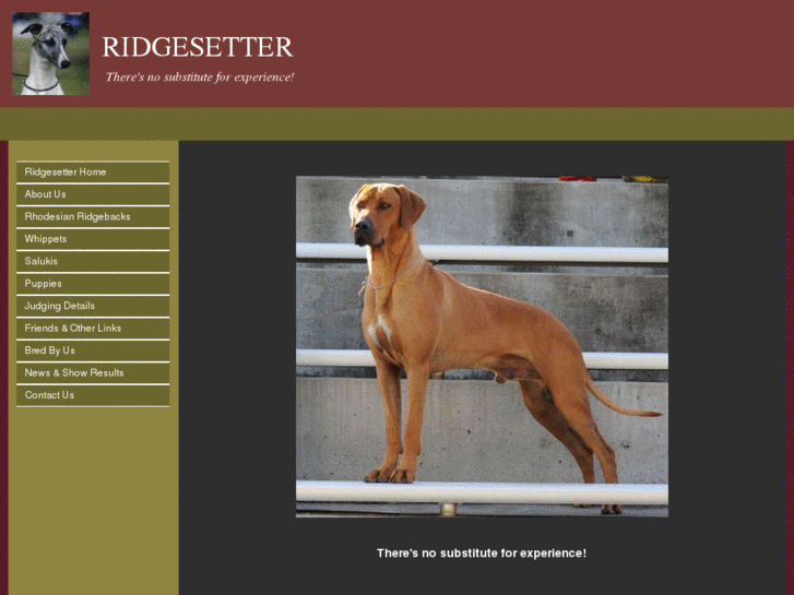 www.ridgesetter.com