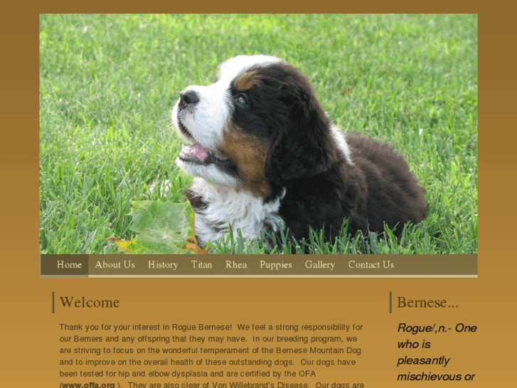 www.roguebernese.com