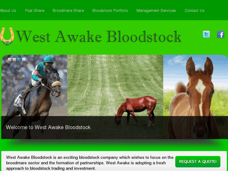 www.wawakebloodstock.com